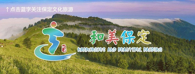 可利巴恐龍魚有幾個背鰭