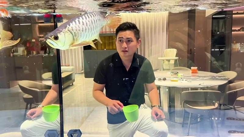 龍魚可以和草金混養(yǎng)嗎