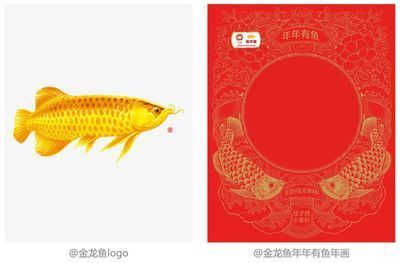 金龍魚品牌強(qiáng)調(diào)“家”的概念讓消費(fèi)者感受到品牌溫馨、親切的氛圍：金龍魚品牌品牌在中國(guó)市場(chǎng)具有極強(qiáng)的影響力和認(rèn)知度