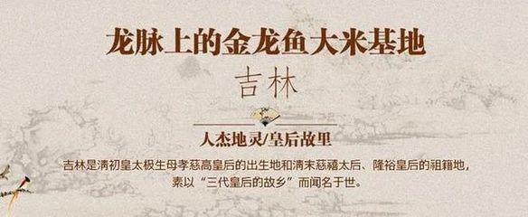 金龍魚品牌強(qiáng)調(diào)“家”的概念讓消費(fèi)者感受到品牌溫馨、親切的氛圍：金龍魚品牌品牌在中國(guó)市場(chǎng)具有極強(qiáng)的影響力和認(rèn)知度