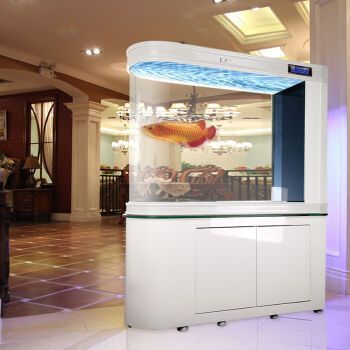 大型龍魚缸品牌有哪些（大型龍魚缸品牌大全）
