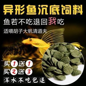 招財貓魚營養均衡食譜：招財貓魚自制飼料食譜