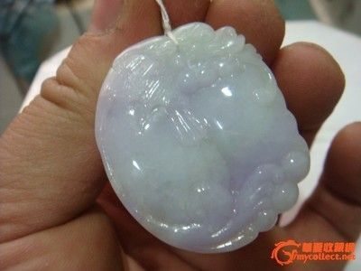 怎么樣選品質好的金龍魚苗：如何挑選金龍魚苗