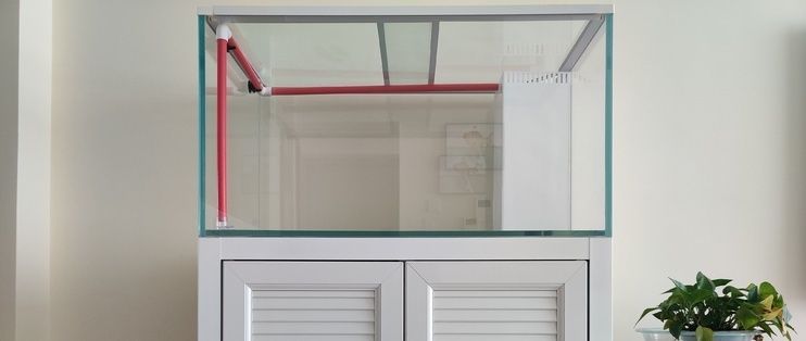 家用魚缸怎么選購(gòu)好（魚缸燈光選擇指南魚缸過(guò)濾系統(tǒng)推薦如何打造小型水族生態(tài)缸）