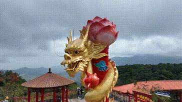 有沒有動態(tài)效果的霸氣龍圖？