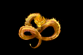 有沒有動態(tài)效果的霸氣龍圖？