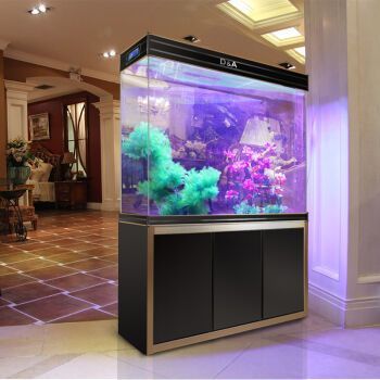 超大龍魚(yú)缸
