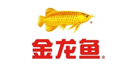 金龍魚營銷策劃方案范文（金龍魚營銷策劃）
