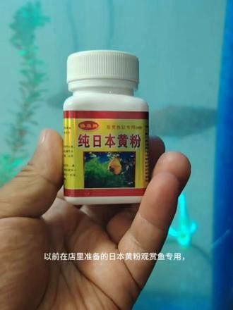 日本黃粉對龍魚的用量