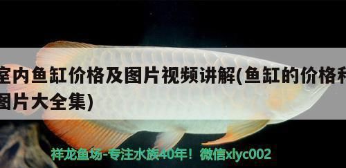 魚缸水泵介紹（如何選擇適合的魚缸水泵魚缸水泵維護技巧）