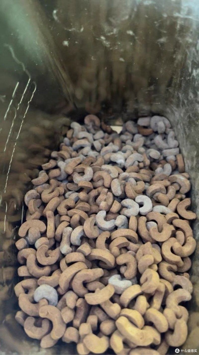 龍魚喂什么飼料經(jīng)濟(jì)實惠