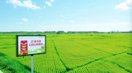金龍魚種植基地地址（金龍魚種植基地位于中國廣東省佛山市南海區具體地址）