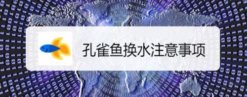孔雀魚魚缸多久換一次水（夏季養孔雀魚的注意事項）