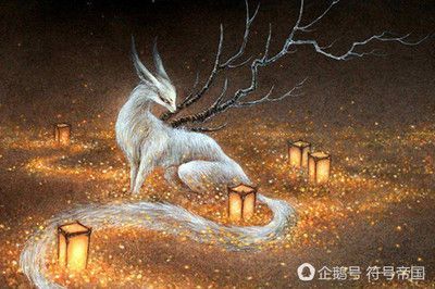 龍魚身上長白毛怎么治療：龍魚水霉病預防措施，龍魚適宜水溫范圍，