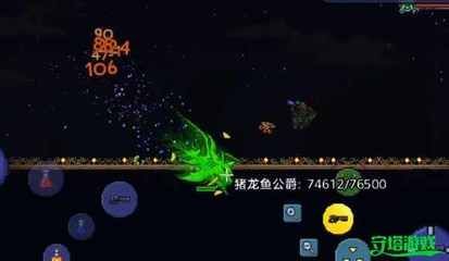 龍魚怎么抓出來（如何捕捉龍魚）