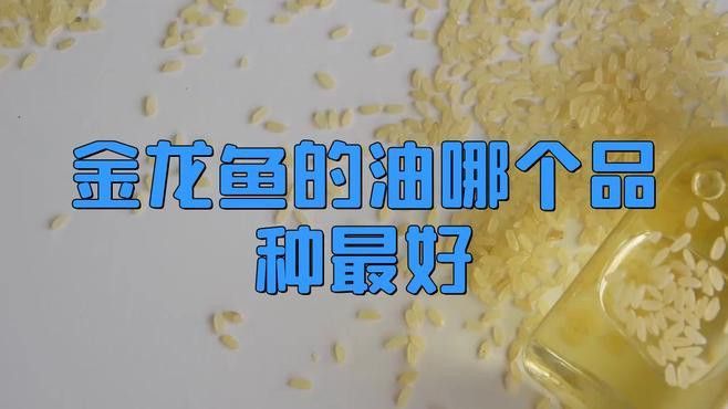 金龍魚哪里生產(chǎn)的