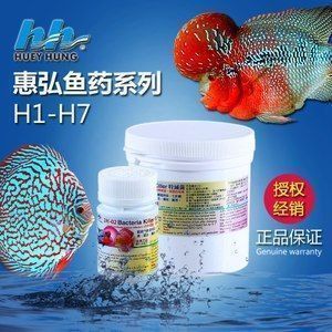 龍魚(yú)白點(diǎn)病不吃食怎么回事：龍魚(yú)白點(diǎn)病怎么辦