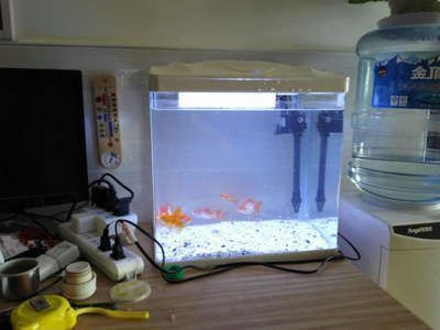 森森魚缸的尺寸和報價，森森魚缸價格及其特點