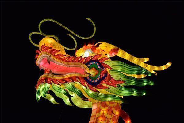屬龍人永久吉利的顏色