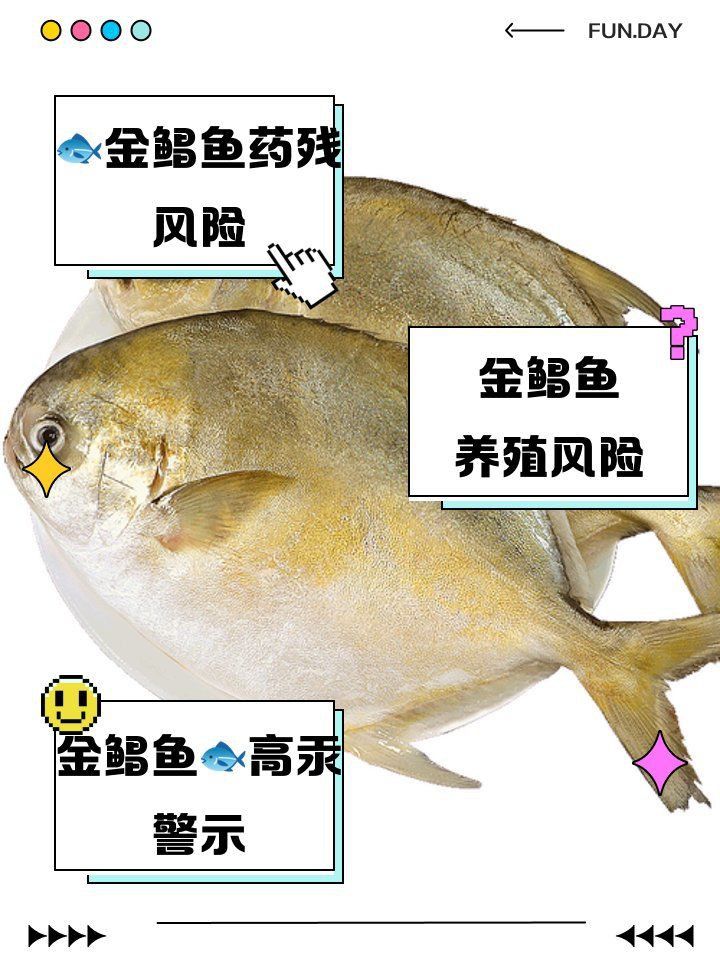 金鯧魚為什么不建議吃