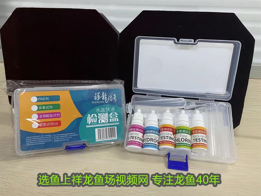 印尼紅龍為什么不發色：為什么一定要買印尼紅龍魚養，珍貴與魅力的完美結合