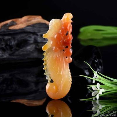 云南龍魚的特點：云南龍魚的特點是什么？