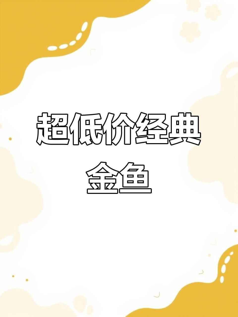 金頭、古典和藍底龍魚哪個更受歡迎？