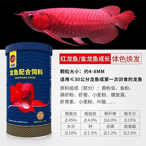 有哪些紅龍發色專用飼料推薦？