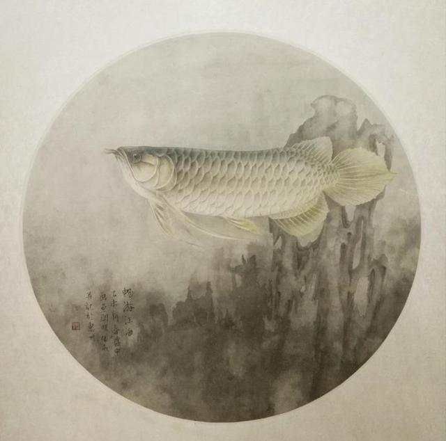 龍魚畫像白描：龍魚畫像白描技巧，龍魚白描上色指南，傳統白描上色指南