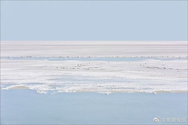 龍魚眼睛里面有白色的東西，龍魚眼睛內部出現白色物質可能是由多種原因引起的