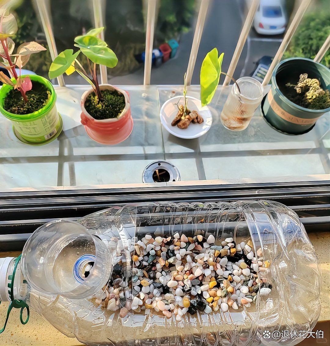 自制龍魚缸圖片大全視頻