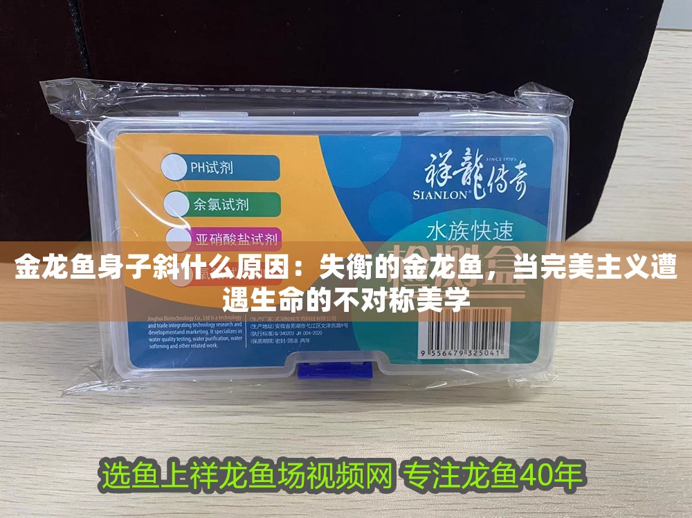 金龍魚身子斜什么原因：失衡的金龍魚，當完美主義遭遇生命的不對稱美學
