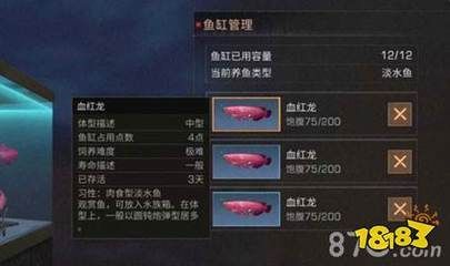 血紅龍是淡水魚嗎：《明日之后》血紅龍怎么獲得淡水魚血紅龍獲得流程詳解
