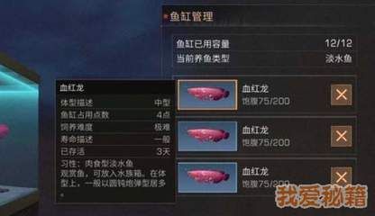 血紅龍是淡水魚嗎：《明日之后》血紅龍怎么獲得淡水魚血紅龍獲得流程詳解