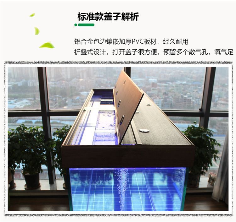 龍魚缸有必要放氧氣嗎（龍魚缸打氧的最佳時間段，防止龍魚氣泡病的方法）