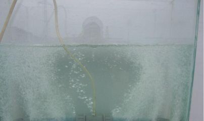 龍魚缸有必要放氧氣嗎（龍魚缸打氧的最佳時間段，防止龍魚氣泡病的方法）