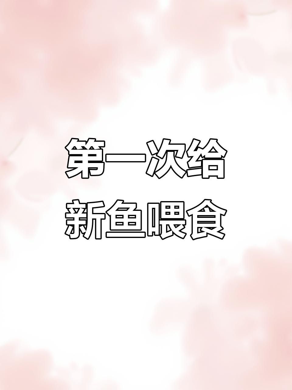 金龍魚換缸后多久喂食？ 金龍魚換缸后多久喂食？ 龍魚百科 第4張