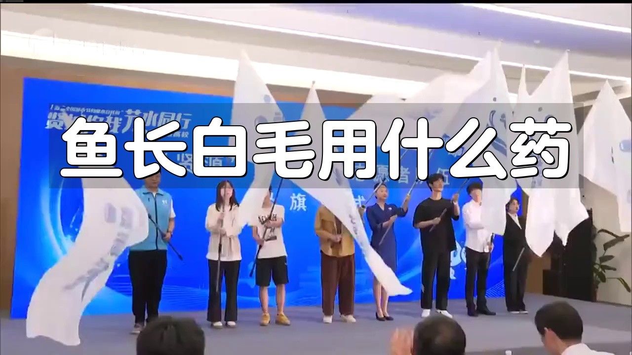 銀龍魚身上有白色絮狀物用什么藥