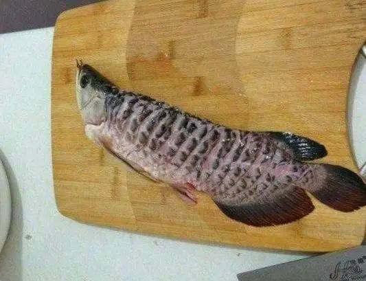 龍魚家常做法大全