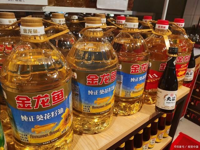 金龍魚(yú)吃多少會(huì)飽死