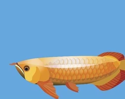 金龍魚爆鱗（金龍魚爆鱗可能由多種因素引起金龍魚爆鱗的預(yù)防措施）