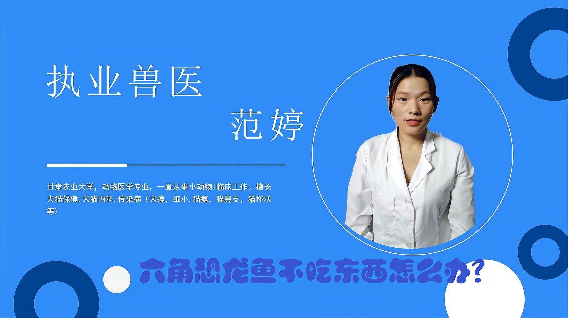 恐龍魚不吃東西怎么辦呢視頻