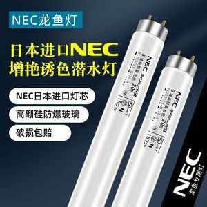 nec龍魚燈放在什么位置好（nec龍魚燈的放置位置）