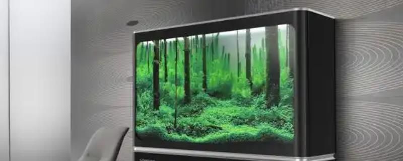 水鴉魚缸最建議買哪一種顏色