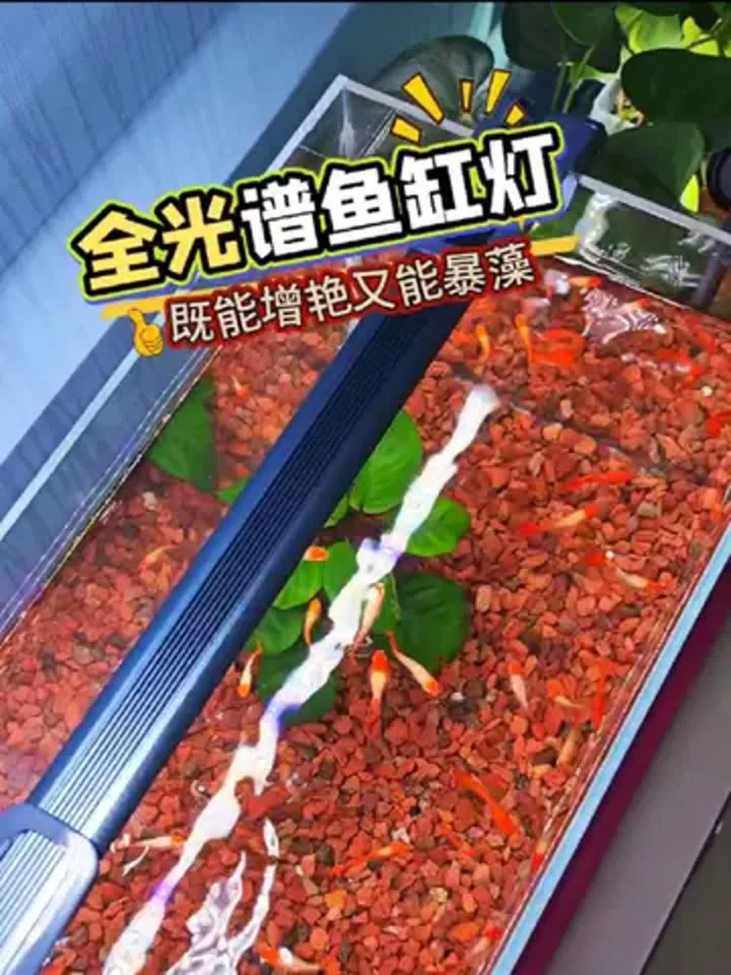 吉印刀鋒S系列有哪些型號可選？
