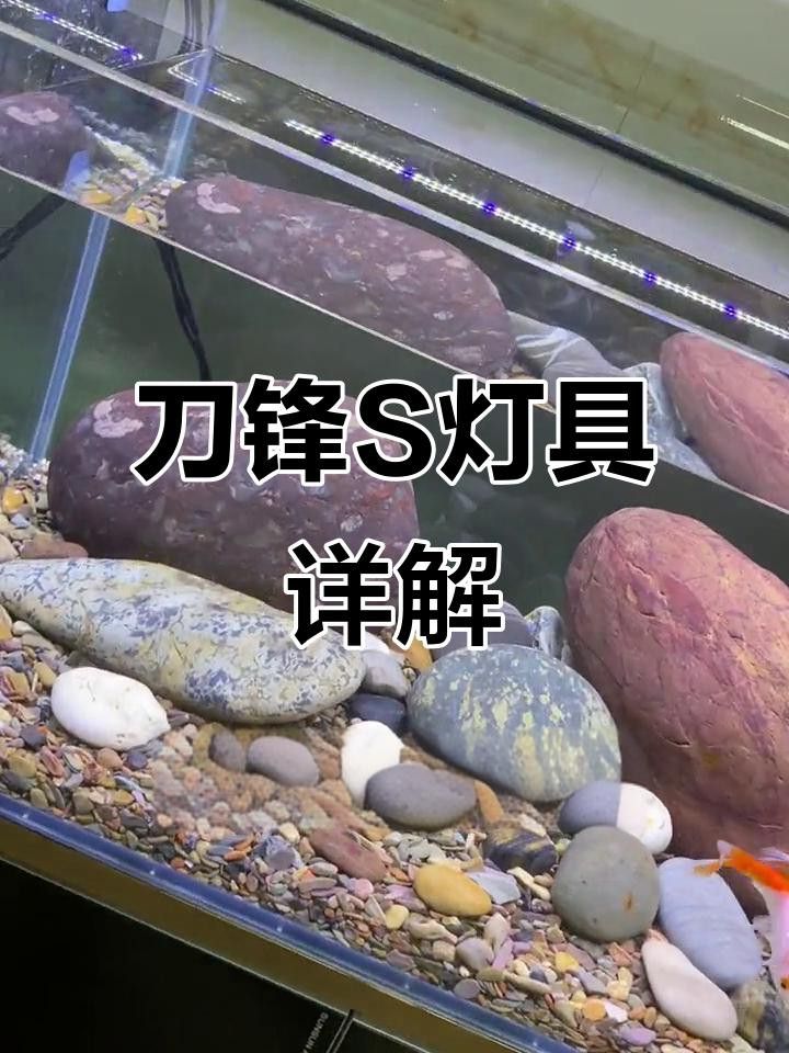 吉印刀鋒S系列有哪些型號可選？