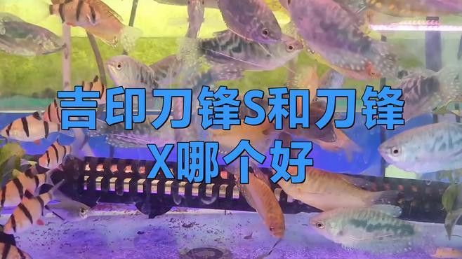 吉印刀鋒S系列有哪些型號可選？