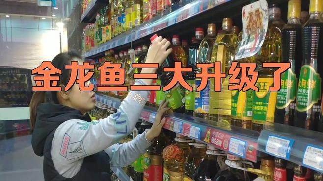 金龍魚技術升級具體指什么？