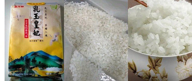 金龍魚技術升級具體指什么？