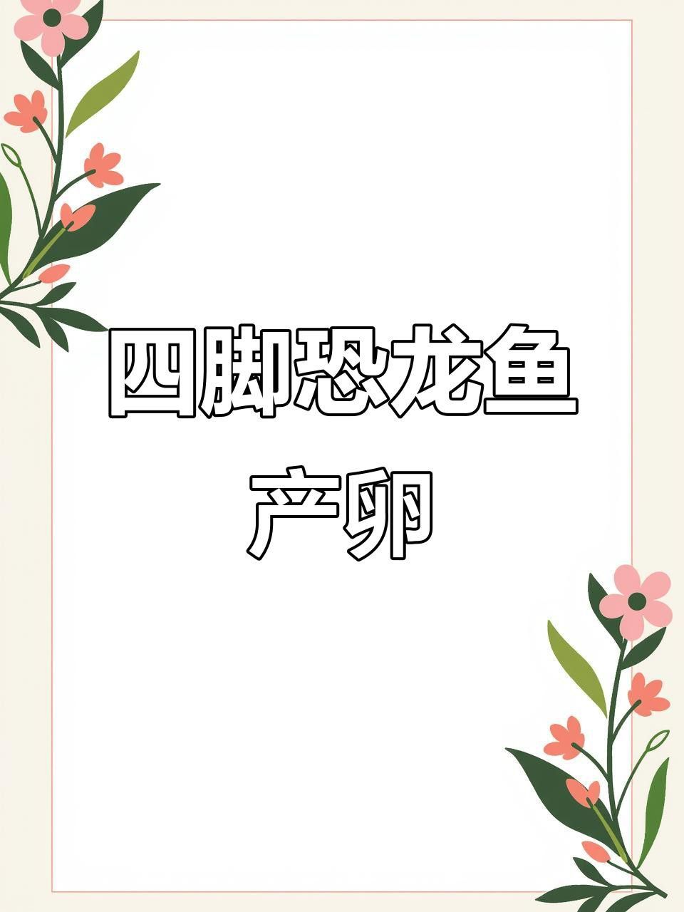 六角海龍和四角龍魚哪個更稀有？